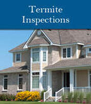 Homespec Termite inspection image